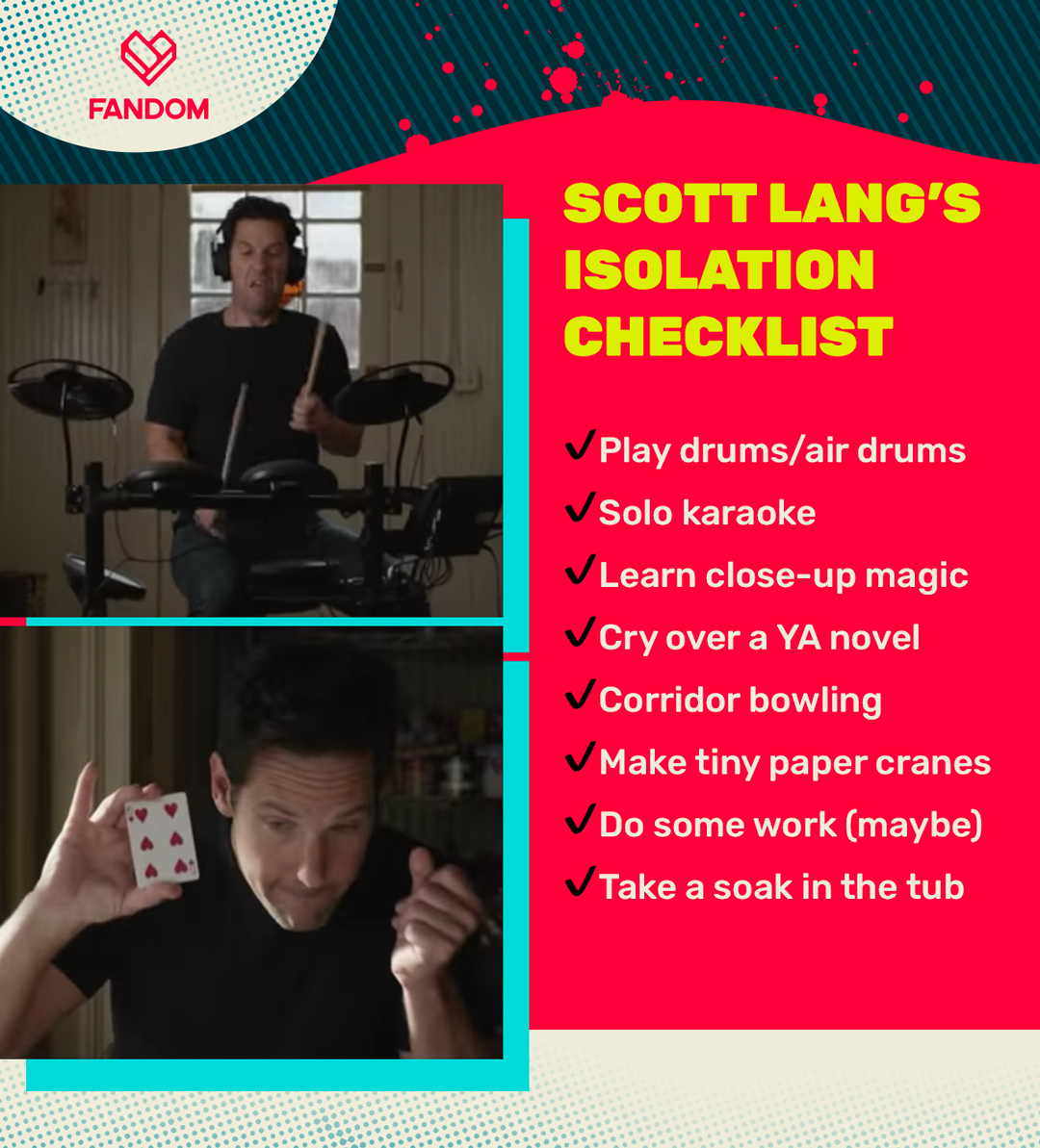 Happy Birthday Paul Rudd  Time to complete these activities in celebration 