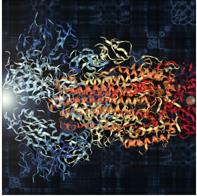 fede_mar's tweet photo. Researchers at @MIT used a computational algorithm to make audible the protein of #Covid_19. 

🎧Listen the musical representation.

‘Viral Counterpoint of the Coronavirus Spike Protein (2019-nCoV)’ on https://t.co/jTMPpPNK5A https://t.co/xtHoMz9StN