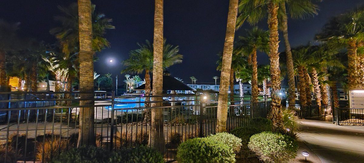 NauticalResort's tweet photo. Here is some Monday (shades of) Blues. It’s really quiet around here without you all! #nauticalbeachfrontresort #wetpoolbar #hotelsofinstagram #socialdistancing #missingourpeeps https://t.co/J48SxJdod8