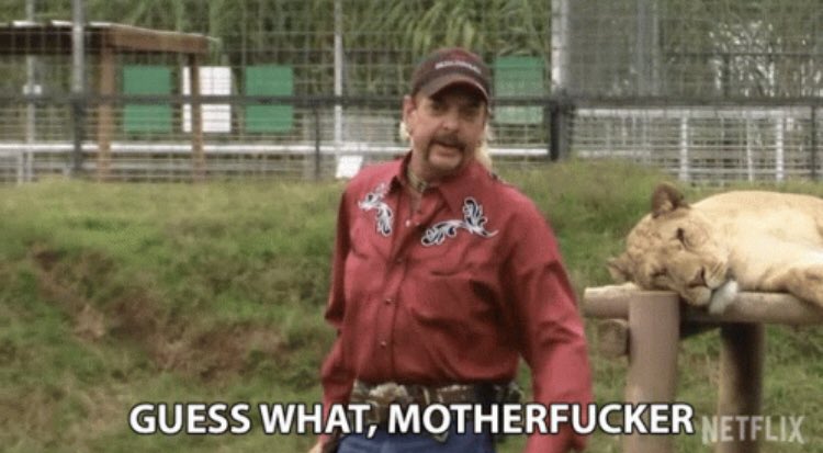 Claire Palmer tweet media