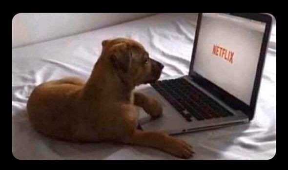 معليش يادكتور انا بقريه والنت ضعيف: