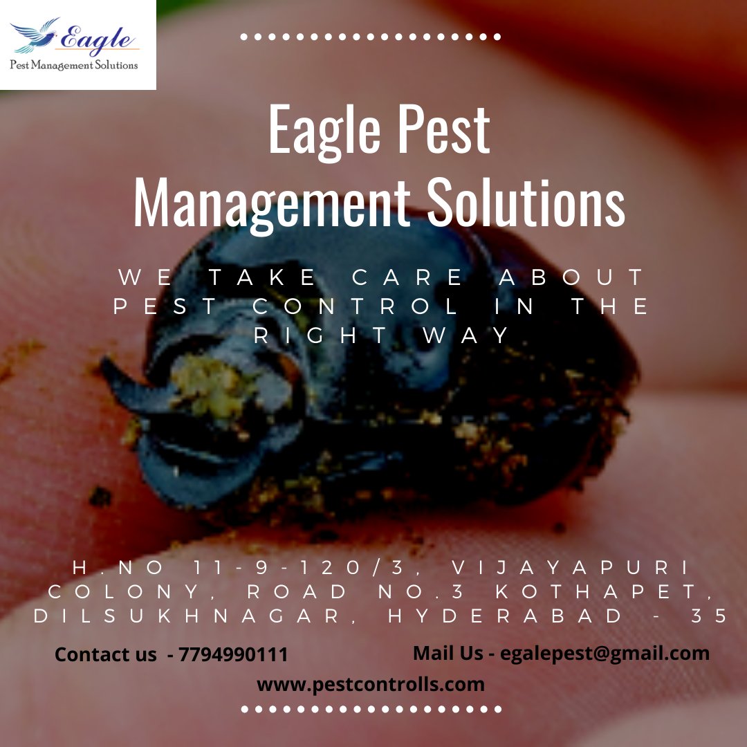 Eagle Pest Management Solutions (eagle_pest_ctrl) Twitter