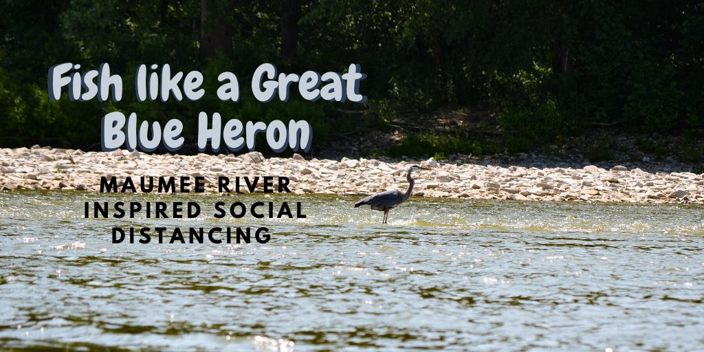 PCSMaumee's tweet photo. Fish like a Great Blue Heron! This Walleye run we hope you take inspiration from these majestic solitary hunters and  stay a safe distance between you and your fishing mate- and discard your lines at our Fishing Line Recycling Bins! 
#walleyerun #419toledo #wildohio #fishohio https://t.co/nc18ow6gH6