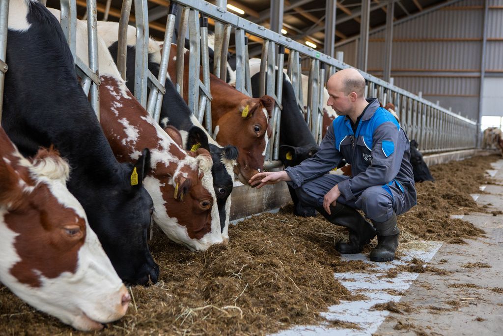 FarmersGuardian's tweet photo. Parlours that work for your farm, whatever your size or ambitions https://t.co/o1zKVlbKdI #findyourperfect #Sponsored https://t.co/7CCghUXZoC