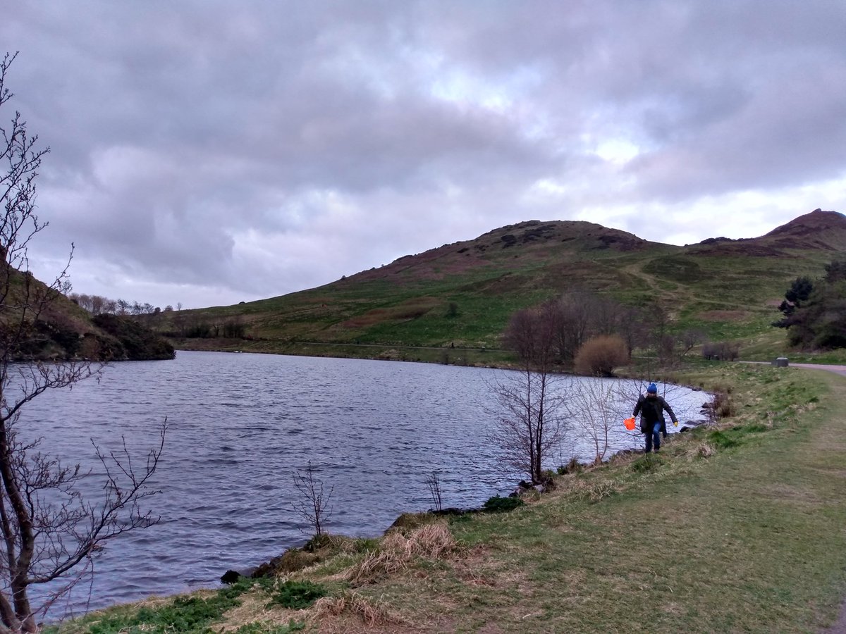 sallymiranda's tweet photo. Monday morning - we got up even earlier today. So glad we did as we beat the rush of runners and cyclists taking their #SanctionedHour We helped 132 toads over the road #ToadMigration @HistEnvScot ๐ธ๐๐ธ https://t.co/AaZeQEYbQq