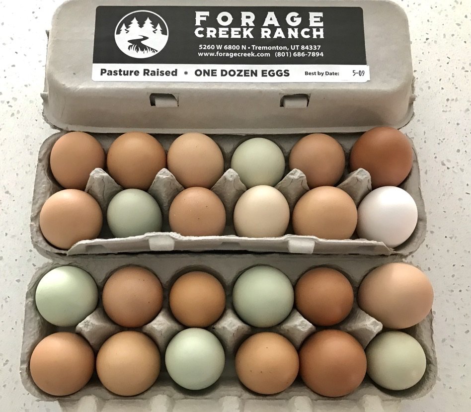 TexanInOz's tweet photo. Well definitely a fan of the eggs you can get in Salt Lake City! Look at these farm fresh beauties from @ForageCreek with the deepest gold yolks. https://t.co/HO5QBQG8T0