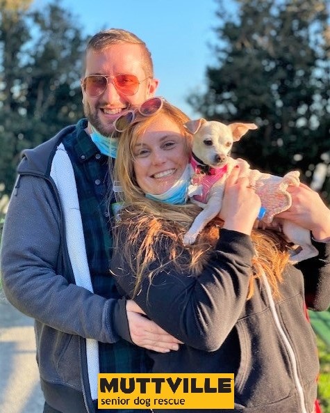 Sara and Mac have been wanting to #Adopt a dog for a while. After meeting PINK, they knew she was the one! They video chatted with Pink's foster dad and after a quick hand off, they're settling in! What a sweet family! #adoptdontshop #seniordogsrule #adoptionsuccess