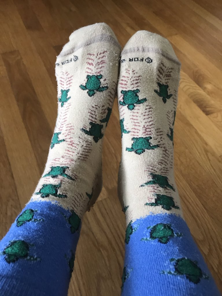 kmgarrett14's tweet photo. “Socking it to COVID19.”  
The spirit of the sea turtle represents protection, longevity, and persistence. It gracefully teaches us the art of adapting to new surroundings and environments. #iamcucps https://t.co/QsV6i2NUdY
