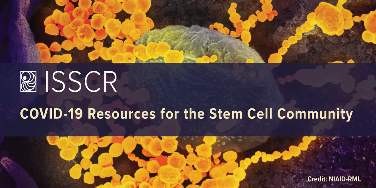 ISSCR's tweet photo. #ISSCR launches new survey and COVID-19 resource page. Let us know how you and your labs are adjusting to these challenging times. We want to share this information with members and help to connect the stem cell community. #ISSCRCovid19 https://t.co/o9IhOOtWWi https://t.co/BvP4aHcWiH