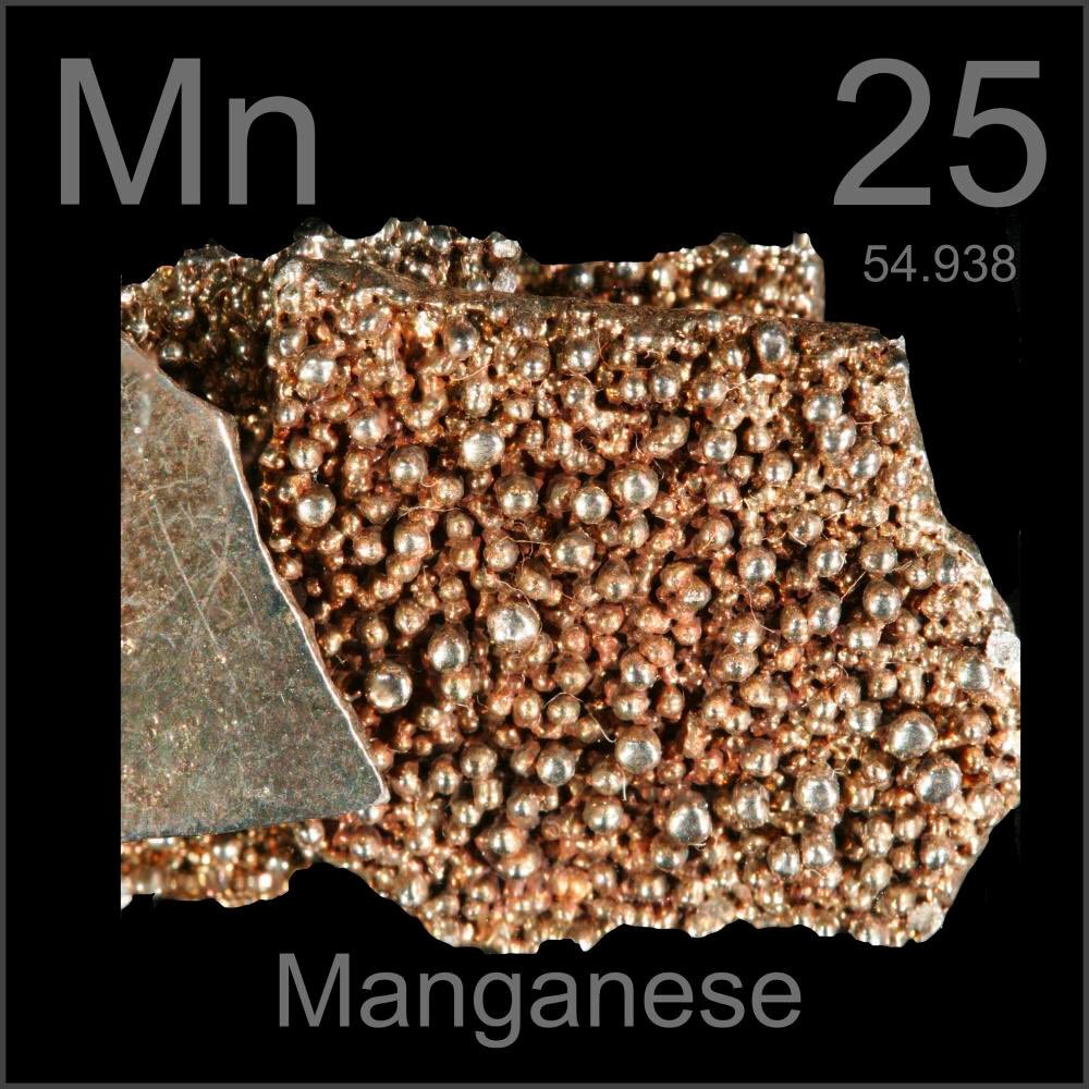 mina;magnesium (Mn)