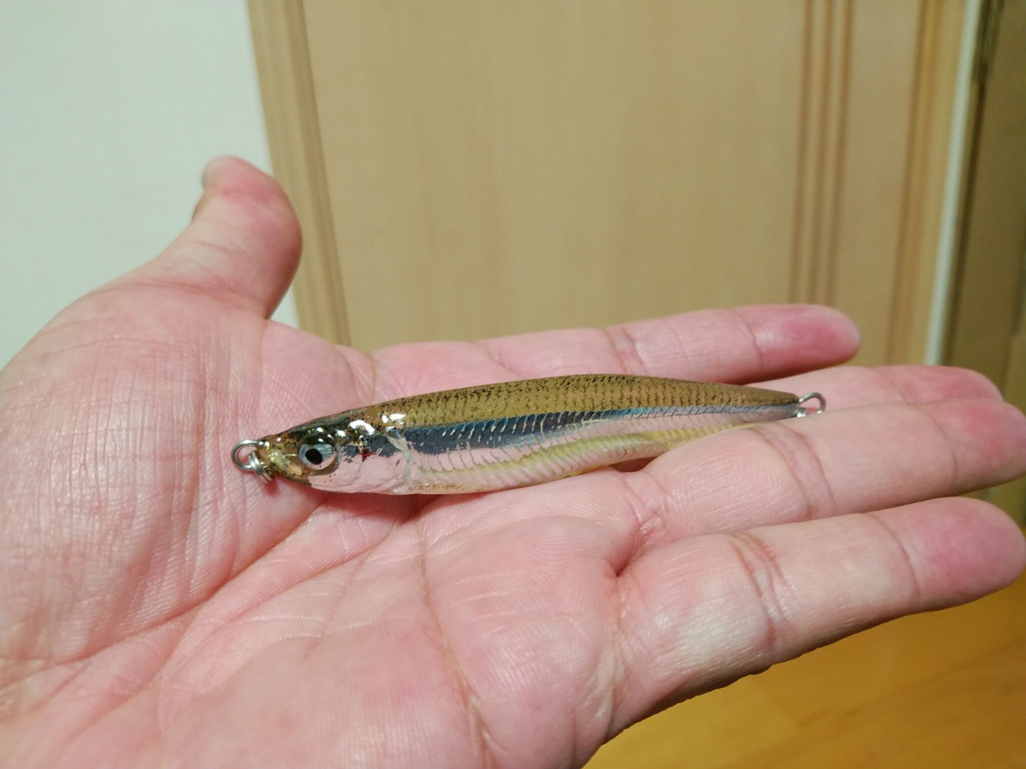 ムチョウワークス美麗 　鮑ワカサギ ムチョウワークス - こちらは、ワカサギ等のイメージの