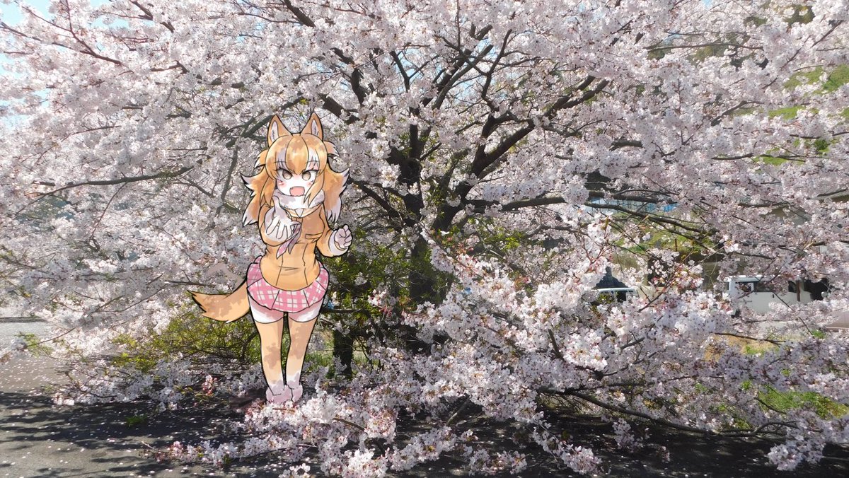 「ニホッ 」|🐺＜ﾈﾝｺｯのイラスト