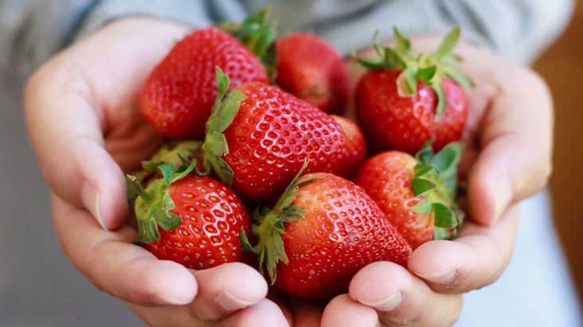 Did you know that the average strawberry has over 200 seeds on it? If you have some strawberries in your fridge, you can use them to make Fruit Salsa with us in our online classes this week! Register now with <a href="/kidpass/">KidPass</a>: ow.ly/4Opc50z4OoE.