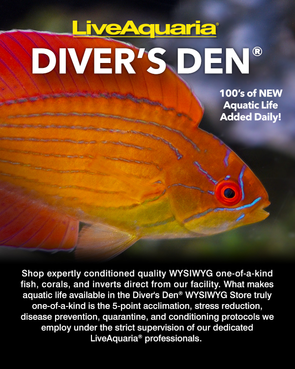 liveaquaria freshwater fish