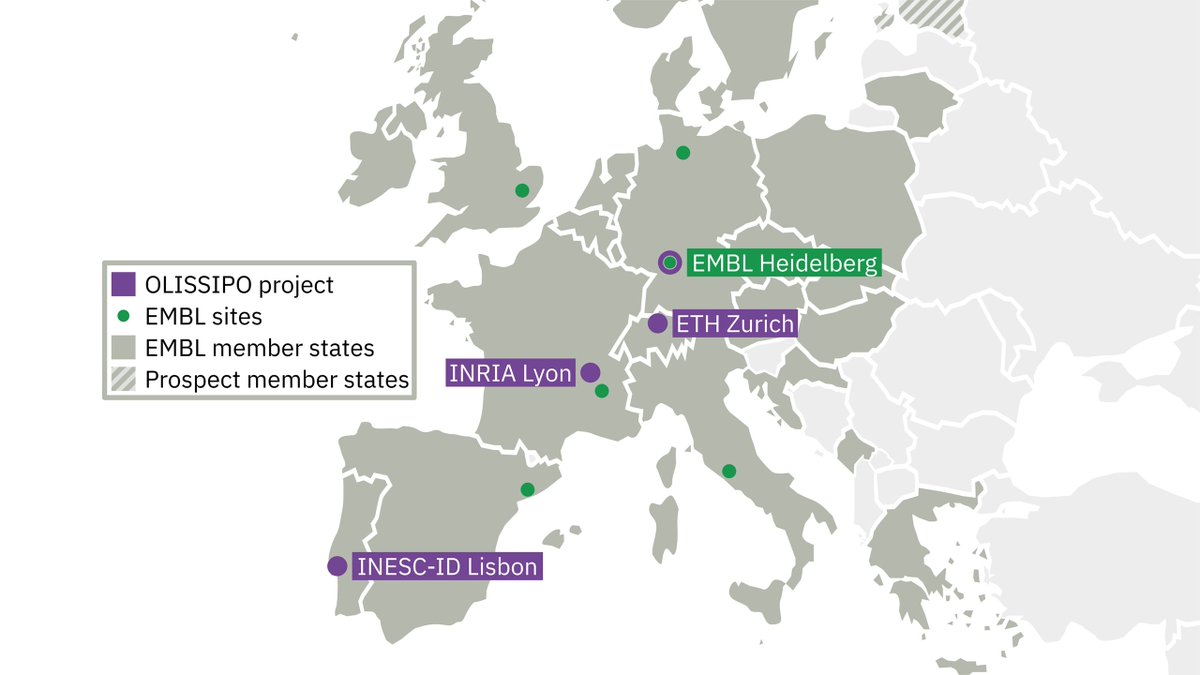 Olisismo.dk bonus oversigt