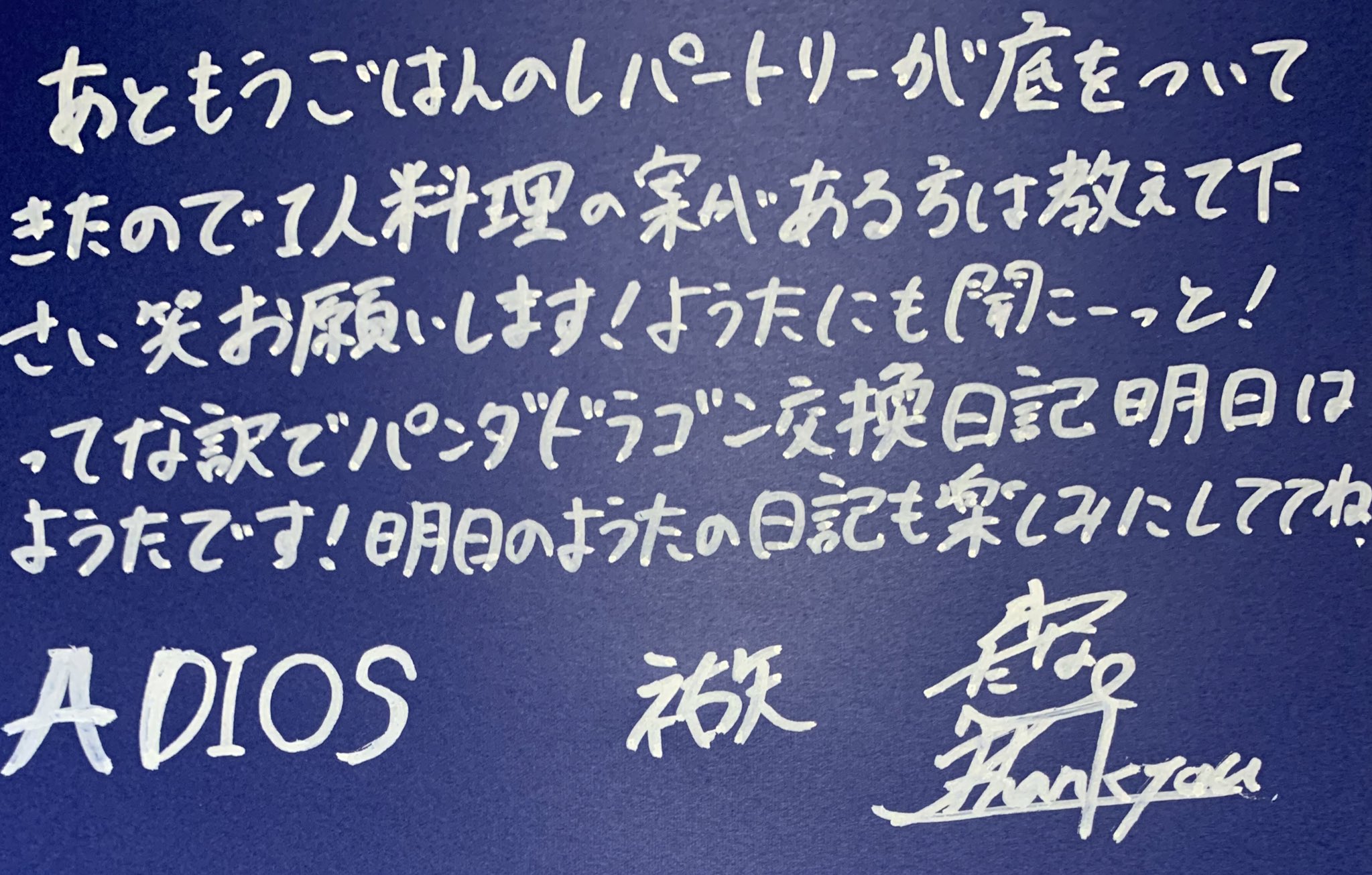 ハピカ パンダドラゴン ようた 落書き ※お値下げ相談可⭕️ パンダドラゴン ようた ハピカ 落書き - メルカリ