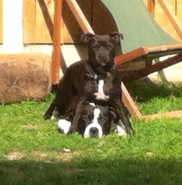 Jackie Simms tweet media