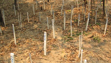 GER_OSCE's tweet photo. Landmines kill &amp; maim 10.000s🌏 wide/yr, hinder people fr going to school &amp; working in the fields. #OSCE_SMM : In 2019, mines &amp; explosive objects caused more fatalities than shelling &amp; small-arms fire combined - of the 48 🇺🇦civilian casualties 10 were children.@AlMissionVienna https://t.co/9GnVFPWzY9