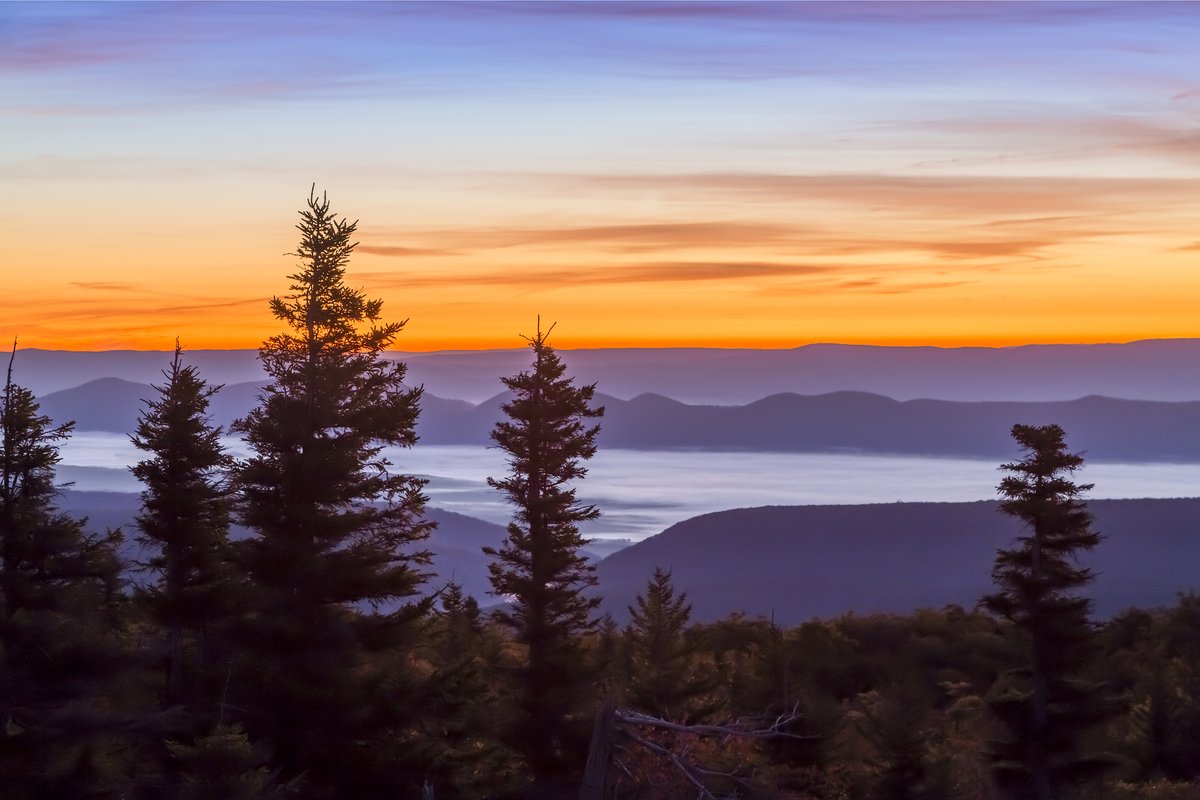 PotomacState's tweet photo. Good morning to our Catamounts! ๐พWherever you are this morning, far & wide, remember we still share the same sunrise! ๐ #WVUpride #westvirginia https://t.co/E9w4MwFD6F
