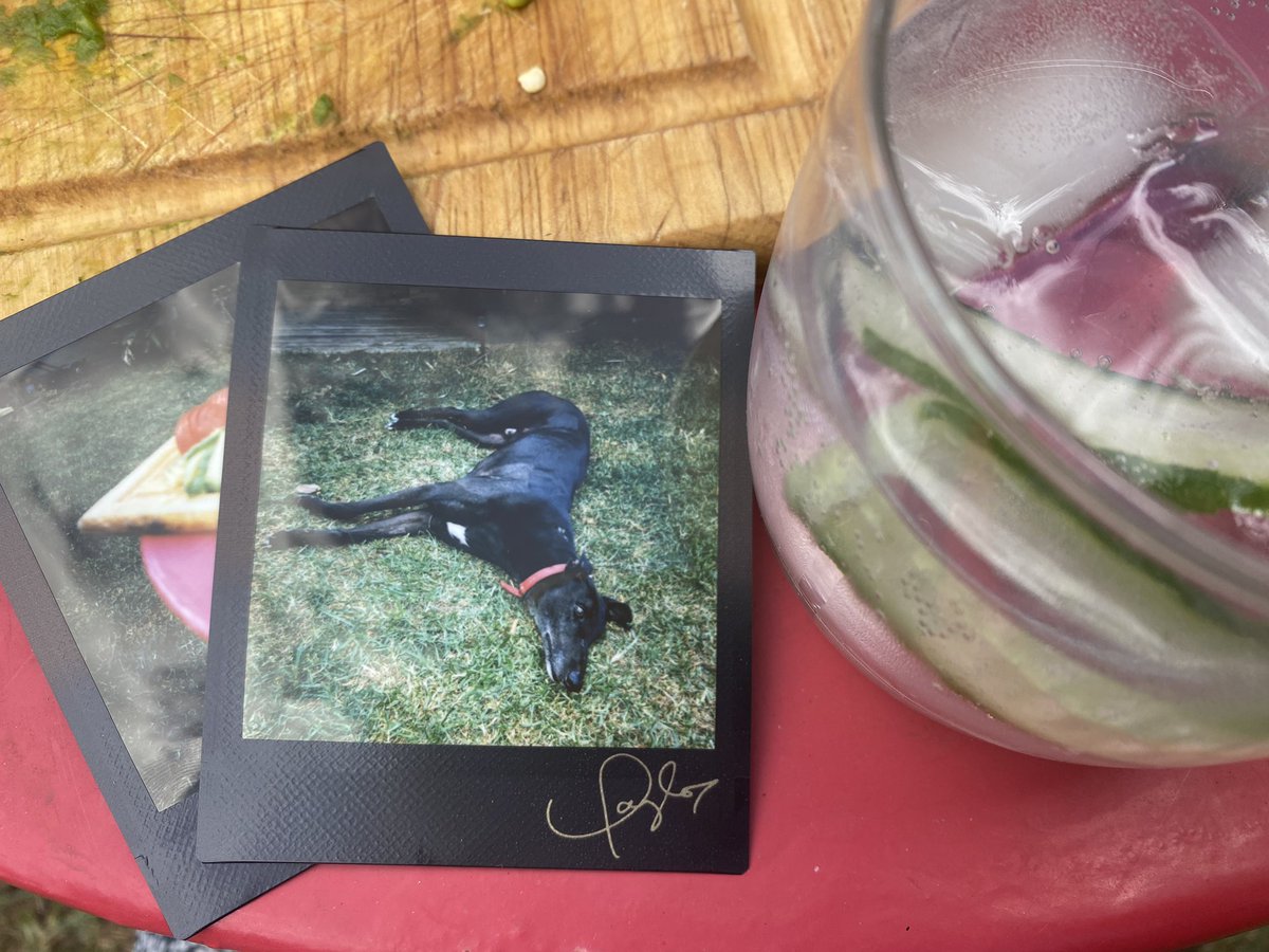 jessmcreative_'s tweet photo. i miss warm days and gin and tonics 🍸☀️ https://t.co/dhKCIjAL0a