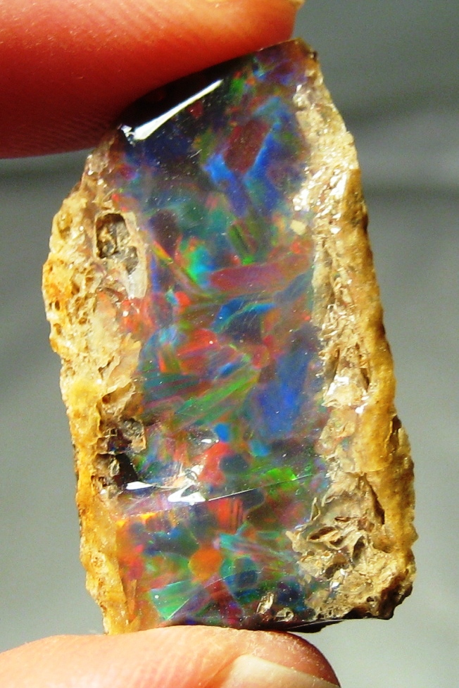 Fossil Locator On Twitter A Few Opals To Pretty Up Your Day Idaho Pink Opal Mexican Fire Opal Opalized Petrified Wood From Virgin Valley Nevada Lightning Ridge Australia