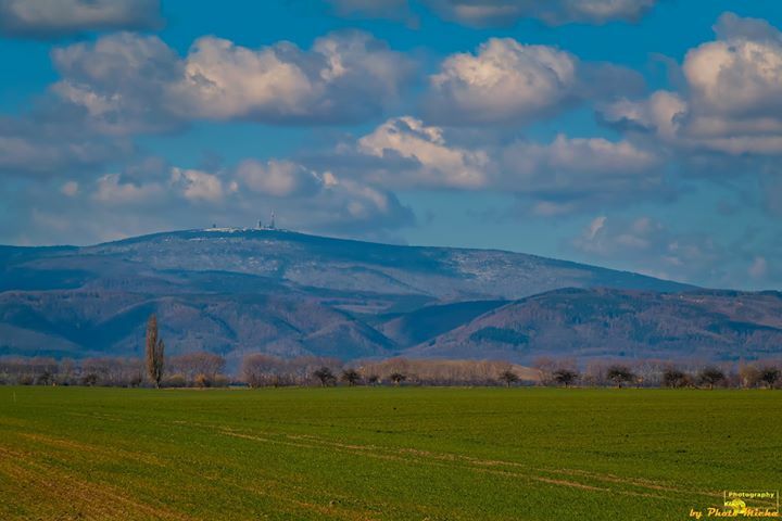 michaharz's tweet photo. Brockenblick
#brocken #brockenblick #nordharz #heudeber #leidenschaft #fotografieren #herz
#heimat #zuhauseimharz #harzliebe #Landscape #Landschaft #Natur
#Nature
#Photography #Fotografie #Photomicha
#Canon #Landscapephotography #Naturelovers https://t.co/VulGqzFik8