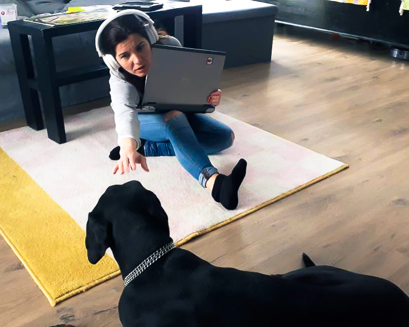 codemart_ro's tweet photo. when your doggo engages in a barking battle with Alexa while your boss calls 🐶
#dogswhocode #workfromhome https://t.co/cVBd06OgUq