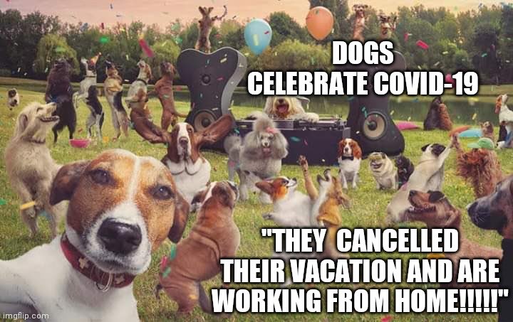 PetPerfection's tweet photo. ‼️COVID 19 UPDATE ‼️
We are still open! Our temporary opening hours are 9am-3:30pm Monday- Saturday and 10am-4pm Sunday. We are following government guidelines to keep our staff and customers as safe as we can.
We recommend using our local delivery service where possible, call... https://t.co/fp2Re5Lazg