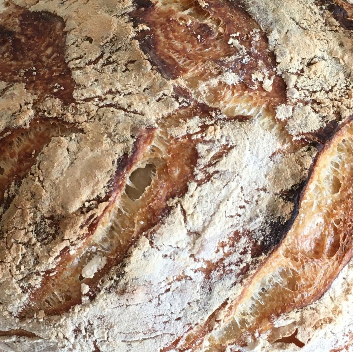 GriederLorenz's tweet photo. Ein Krisenphänomen: Bread Goes Viral! – Liegt wohl daran, dass man sich nicht sattsehen kann.
#scheggiatoinbrodo #bread #breadpost #StayAtHomeChallenge #bakery https://t.co/4Gk7tJxzzw