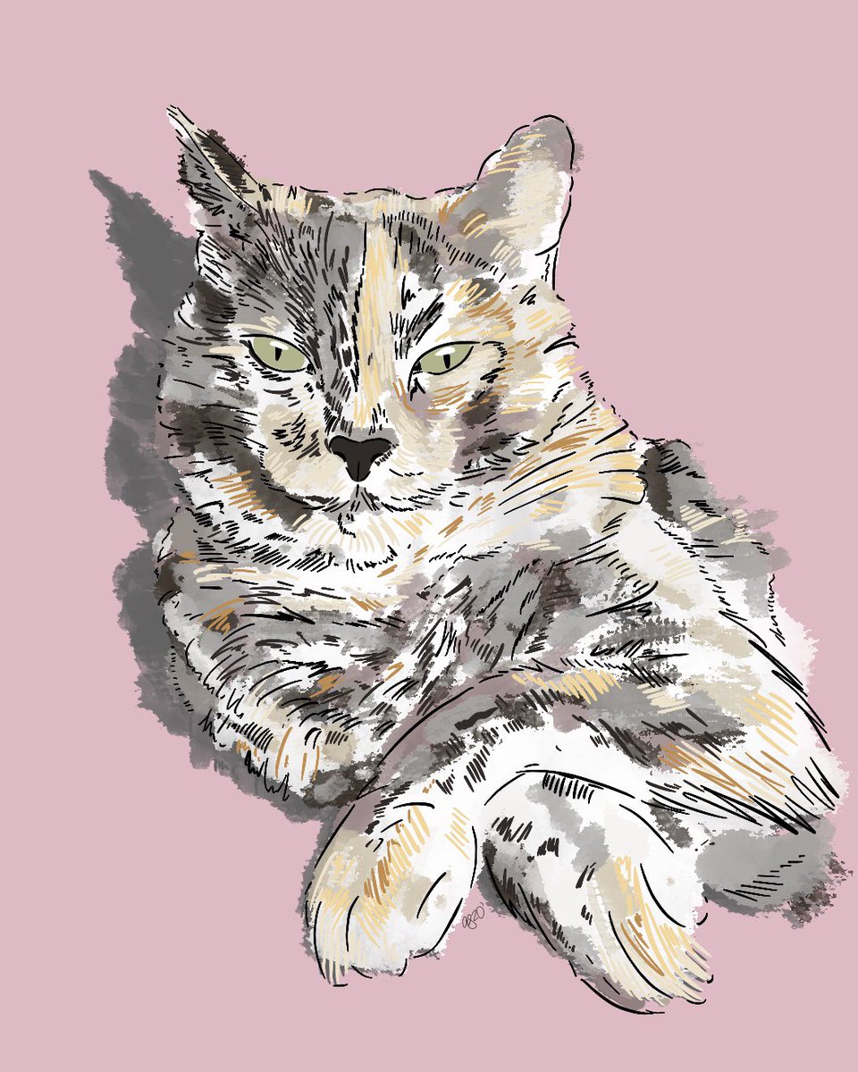 augustshapiro's tweet photo. #petportraits https://t.co/Adl5XpQ2LU