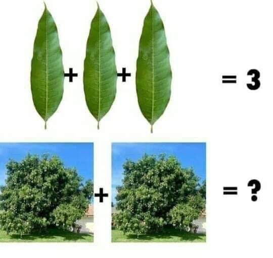 Ya que andan con su poco de acertijos, aquí les dejo: