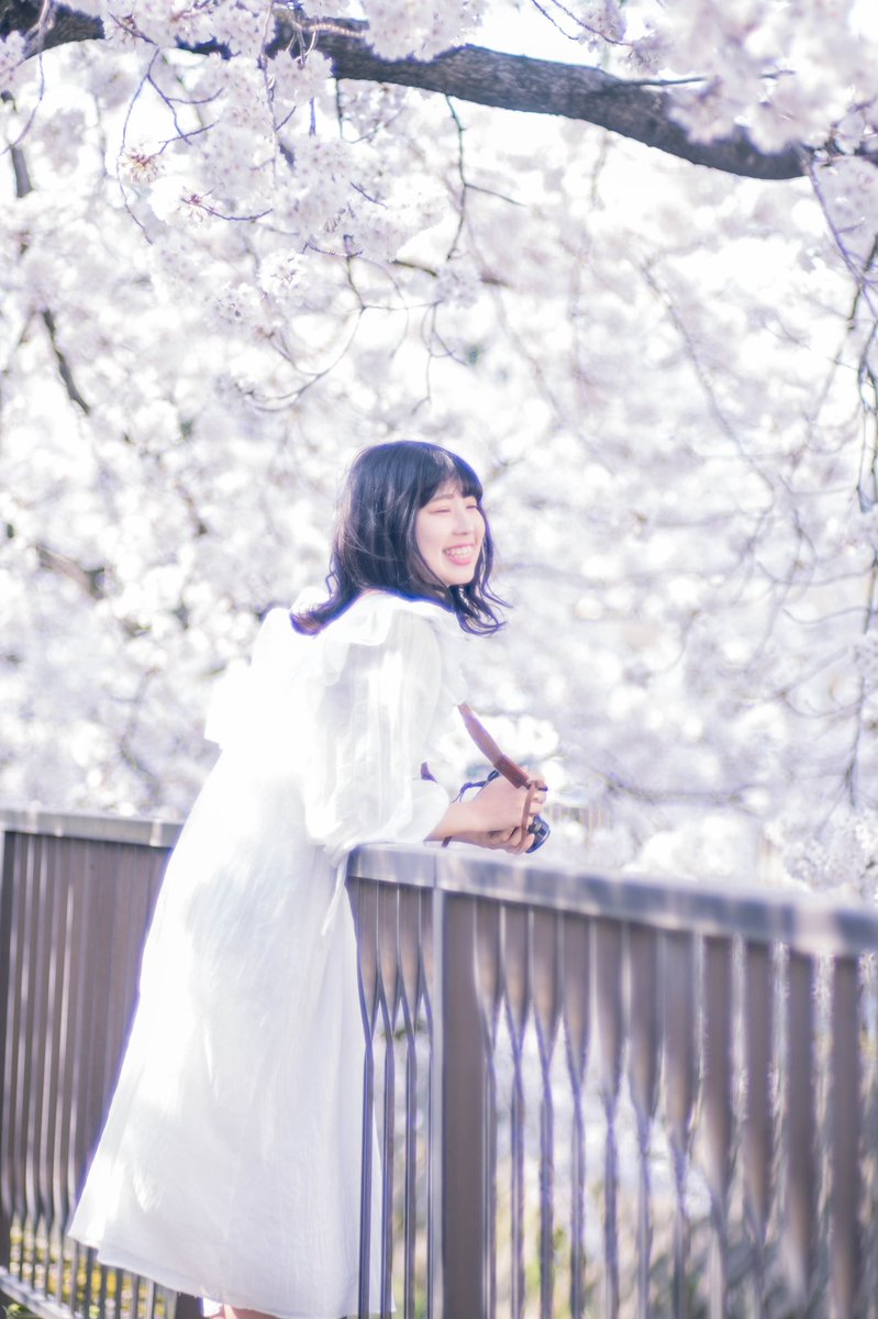moichi2nd's tweet photo. 『桜通り』 https://t.co/v0n9YoKNRY