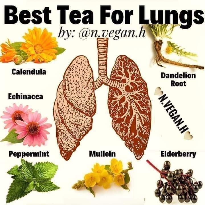 Best Tea For Lungs. #Health