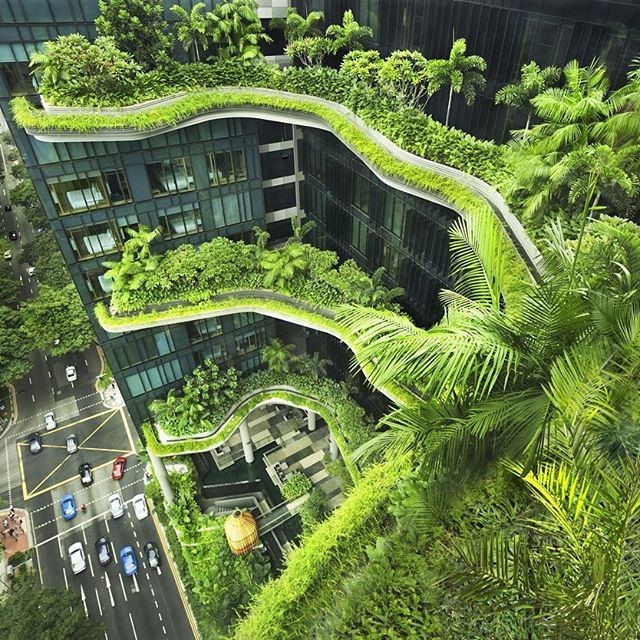 P4CAction's tweet photo. Our 7th #P4CA Think-Piece is online!
Today we focus on 'Biophillic design of cities, the need of an hour, to tackle urban climate and environment at global level', by Nikhil Mittal @nikhilmittal22
Read the full piece or submit your own at https://t.co/RCO0ZysCKd
@UNHABITAT https://t.co/hRoYzMnve7