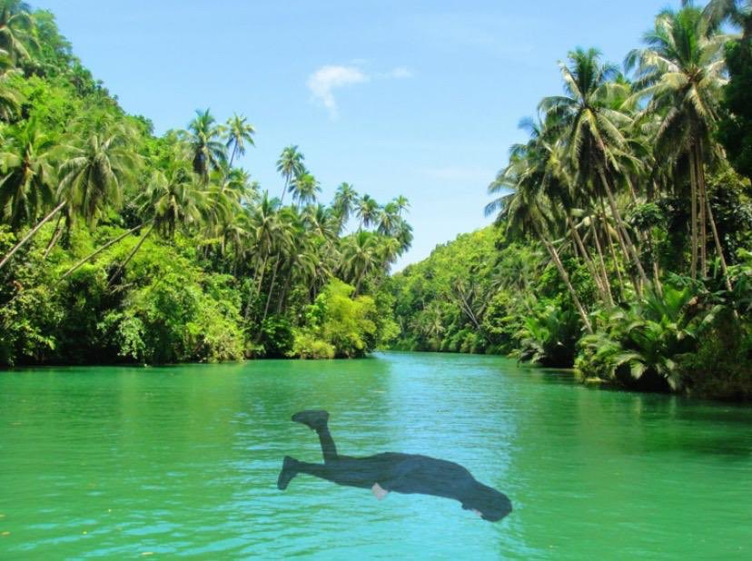 i landed in a big nasty river where i swam to the river bank