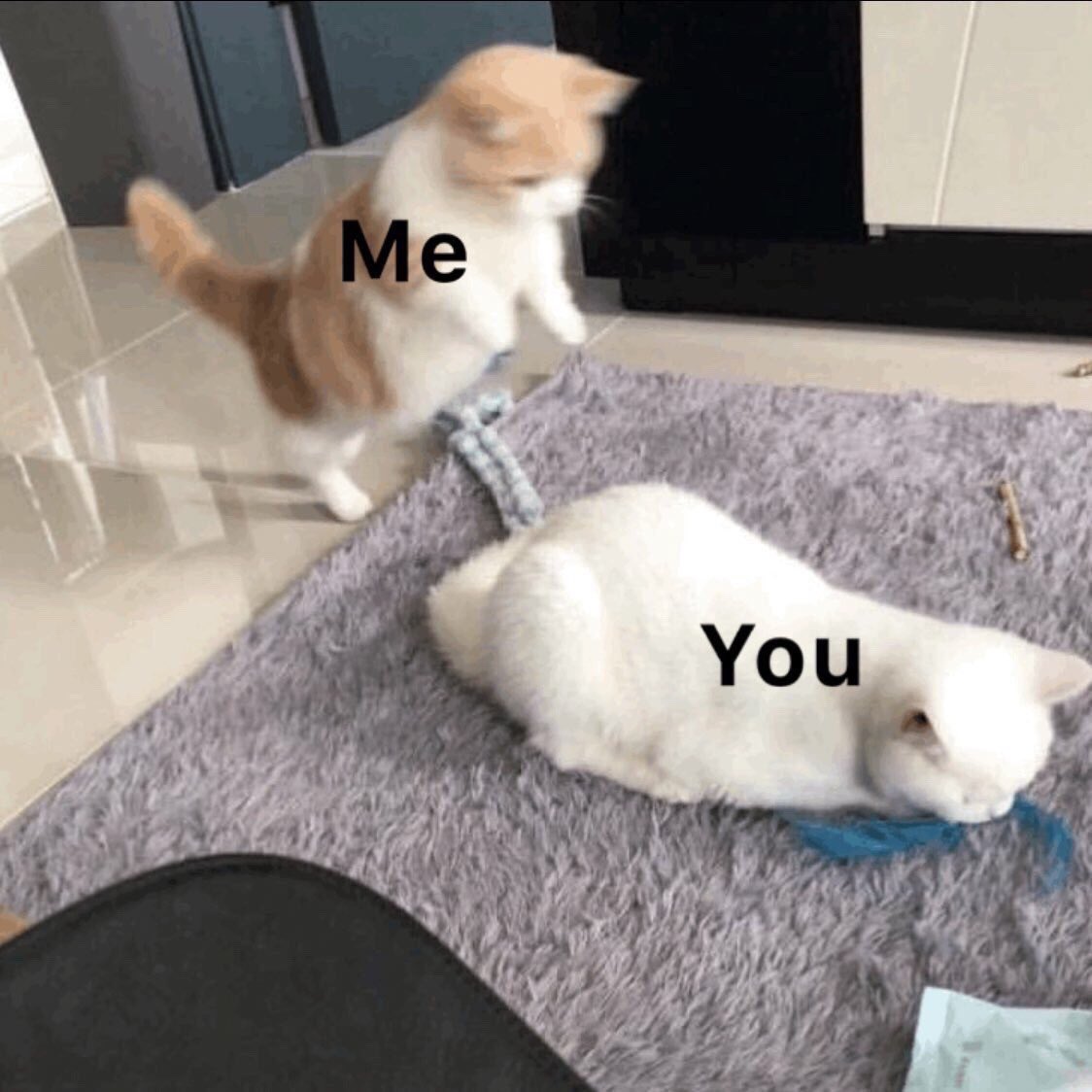 𝐵𝑅𝐼𝑃𝐻𝐴𝑇. tweet media