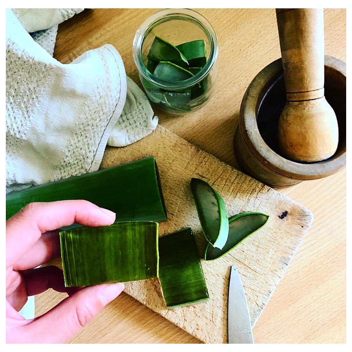 Mtindo_Ug's tweet photo. AlOE VERA THE MAGIC PLANT
#beauty #beautytips #beautybloggers #beautyhacks #beautyshop #beautyblog
#mtindo_ug #mtindo #skincare #skincareroutine #skincareproducts
#skincaretips
#antiwrinkle #aloevera #blog #blogger #bloggerbeauty
#antiaging #antiblemish #antiacne #aloe https://t.co/PGcH2DzNv5