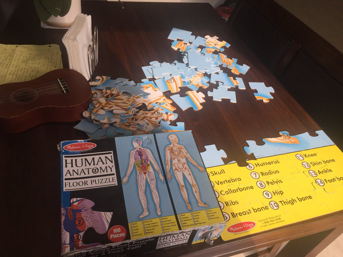 EngemanMichael's tweet photo. Mr. E. is trying to put together his student's human body systems puzzle.  Can you help him?  Ideas?#RESKnights https://t.co/TXMO1xg839