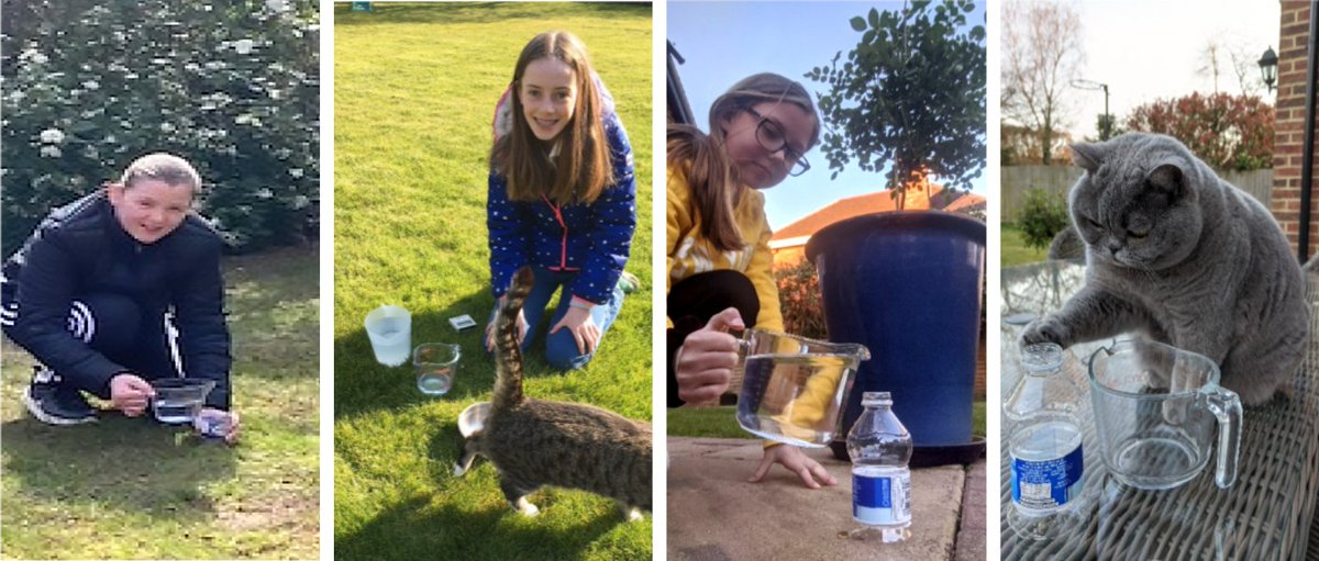 QASCaversham's tweet photo. ππΏ Our L4s adapted brilliantly to #RemoteLearning by completing a geographical enquiry in their own gardens! πΏπ #QASGeography
Read more here β‘οΈ https://t.co/DjpKcY1lXh https://t.co/qL5bgKMG4g