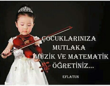 tocin_der's tweet photo. https://t.co/UcY7pOnJtg