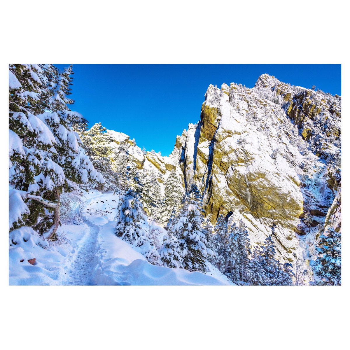 wldsplendidlife's tweet photo. mountains are still mountains. they reflect life’s glow even when no one’s watching.
that is their magic. and ours.
#mtnfolk #colorado #coloradolive #stillwild #stayathome https://t.co/q8J7ue24wD