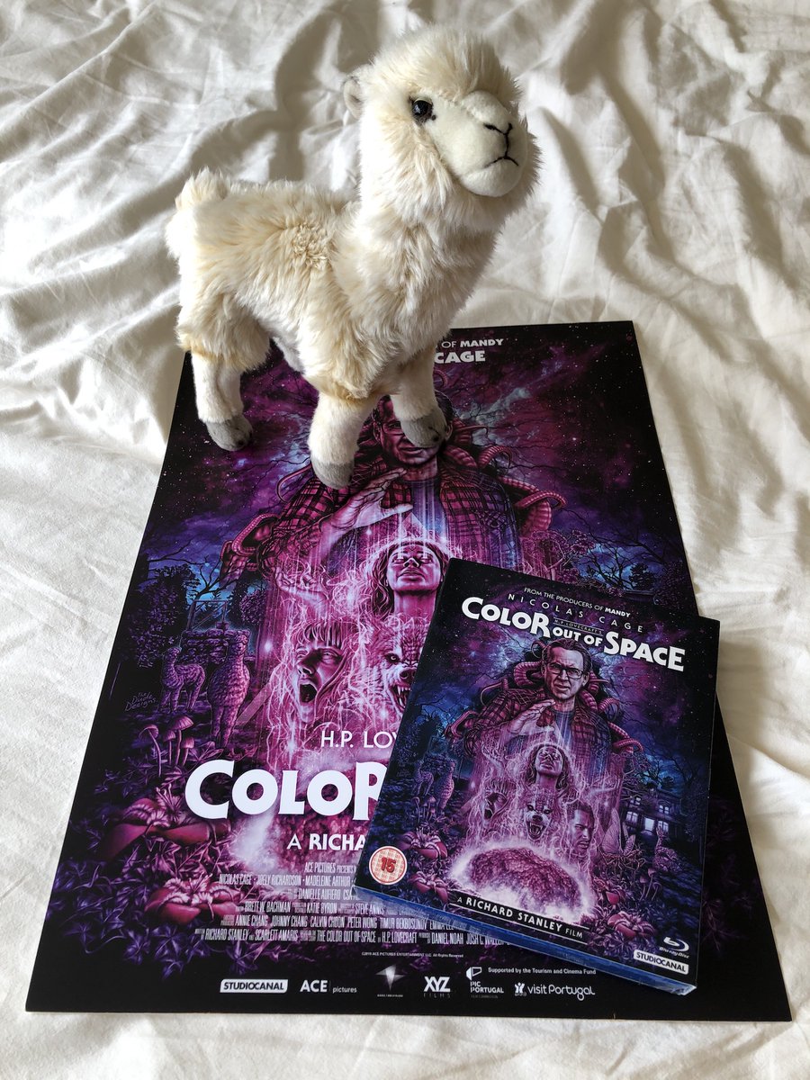 FrightFest's tweet image. Arrived in the office today and cheered me up no end.  Sent to celebrate the @StudiocanalUK home ent release of Richard Stanleys absolutely bonkers and wonderful film @coloroutofspace Out today. An Alpaca is always useful I suppose. #ColorOutofSpace