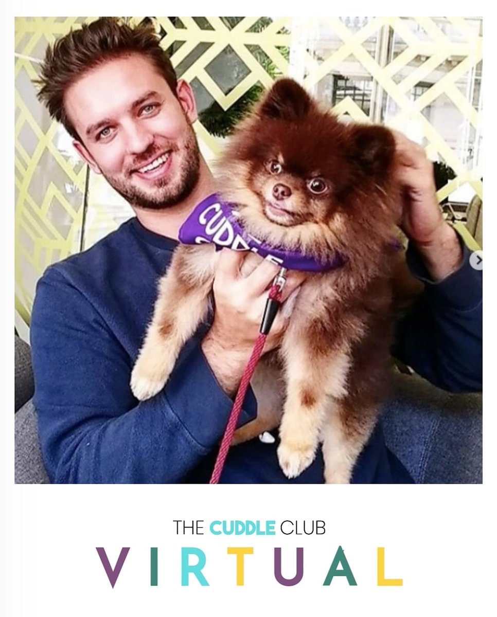 🐶THE CUDDLE CLUB VIRTUAL LAUNCHED TODAY🐶
.
Our Cuddle Club Heroes might not be able to come to your office right now, but they are bringing virtual PUPPY LOVE to you &amp; your team.
. 
The Cuddle Club mission is bring as much joy possible❤️
.
Book Now:
thecuddleclubuk.com/cuddle-club-vi…