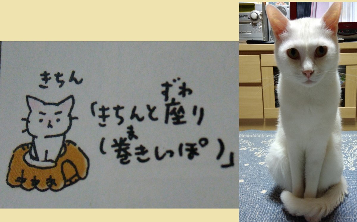 O Xrhsths 中村文人 奈良 鹿ものがたり もらった子ネコ かえします 著者 奈良公園ゴミゼロpjメンバー Sto Twitter 今日4月6日は白猫の日なのだそうです というわけで わが家の白猫みるく登場 白猫の日 猫ピッチャー