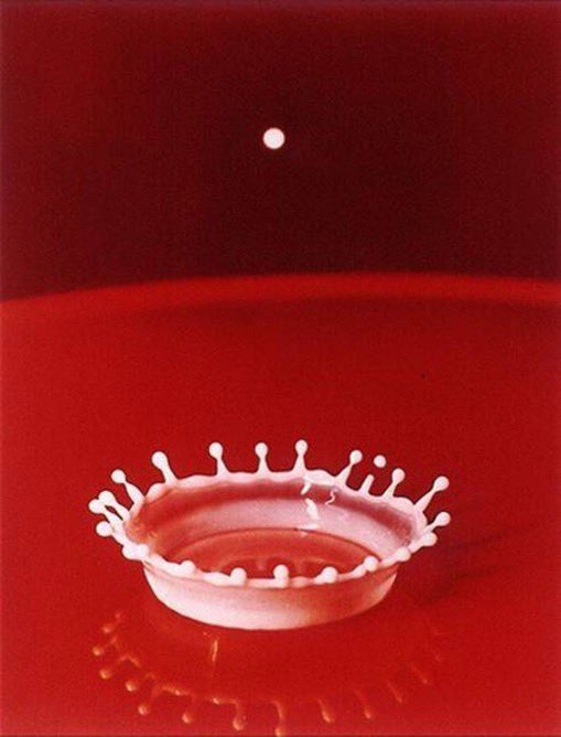 The engineer and photographer Harold Edgerton was born  #OTD in 1903. He pioneered various forms of high-speed photography using specialized cameras, strobe lighting, and other techniques. You’ve seen his work!Images: MIT; H. Edgerton
