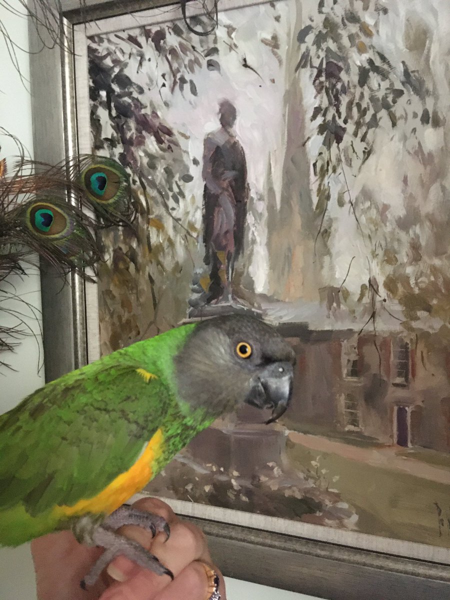 PickleParrot's tweet photo. Checking out the art today - I’m quite the connoisseur 

#parrot https://t.co/2m3Rdz8nm5