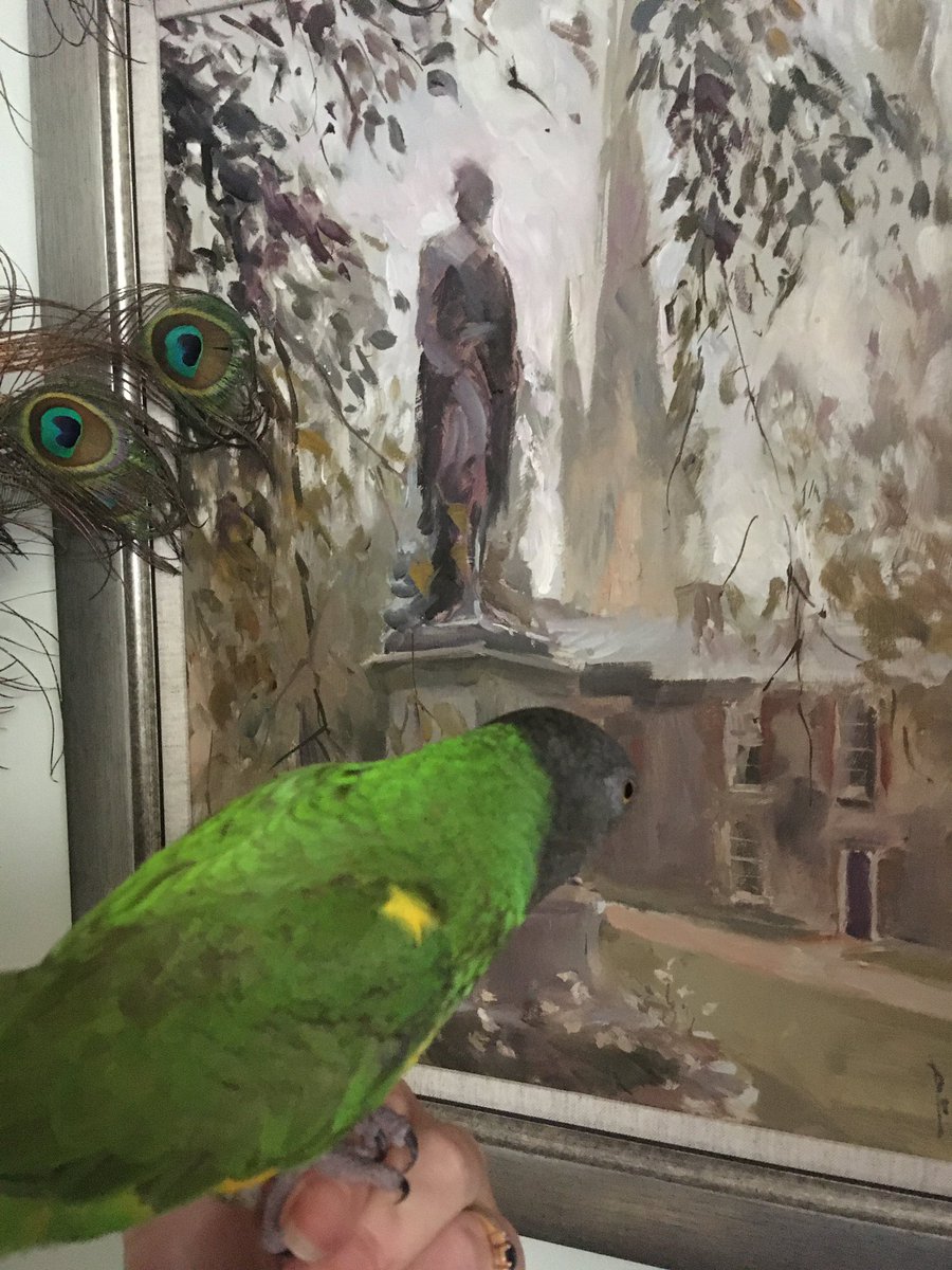 PickleParrot's tweet photo. Checking out the art today - I’m quite the connoisseur 

#parrot https://t.co/2m3Rdz8nm5