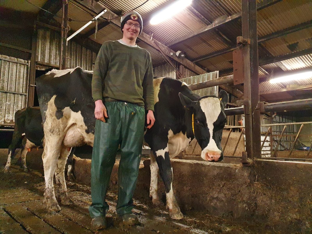 aAaWeeks's tweet photo. “It’s not that you don’t look at bull indexes anymore, but it has become only part of the equation. It was only when the first calves were born from aAa matings that I really could see the differences.” -Gearoid Murphy, Cty Cork, IRL. Read Gearoid’s full testimonial on our site. https://t.co/NMp7ZucF4d
