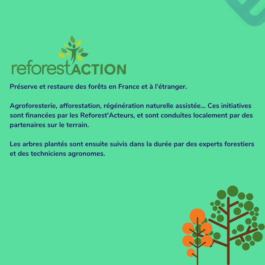 Naomicashfr's tweet photo. Aujourd’hui nous te présentons @reforest_action avec qui nous souhaitons également être solidaires 💪
Leur mission ? Remettre du vert devant nos mirettes 🌳
#reforestaction #naomicashfr #reforestation #greenlife #arbre #planet #tree #greenlandscape #greennature #naturelover https://t.co/pqnEOCpkSc