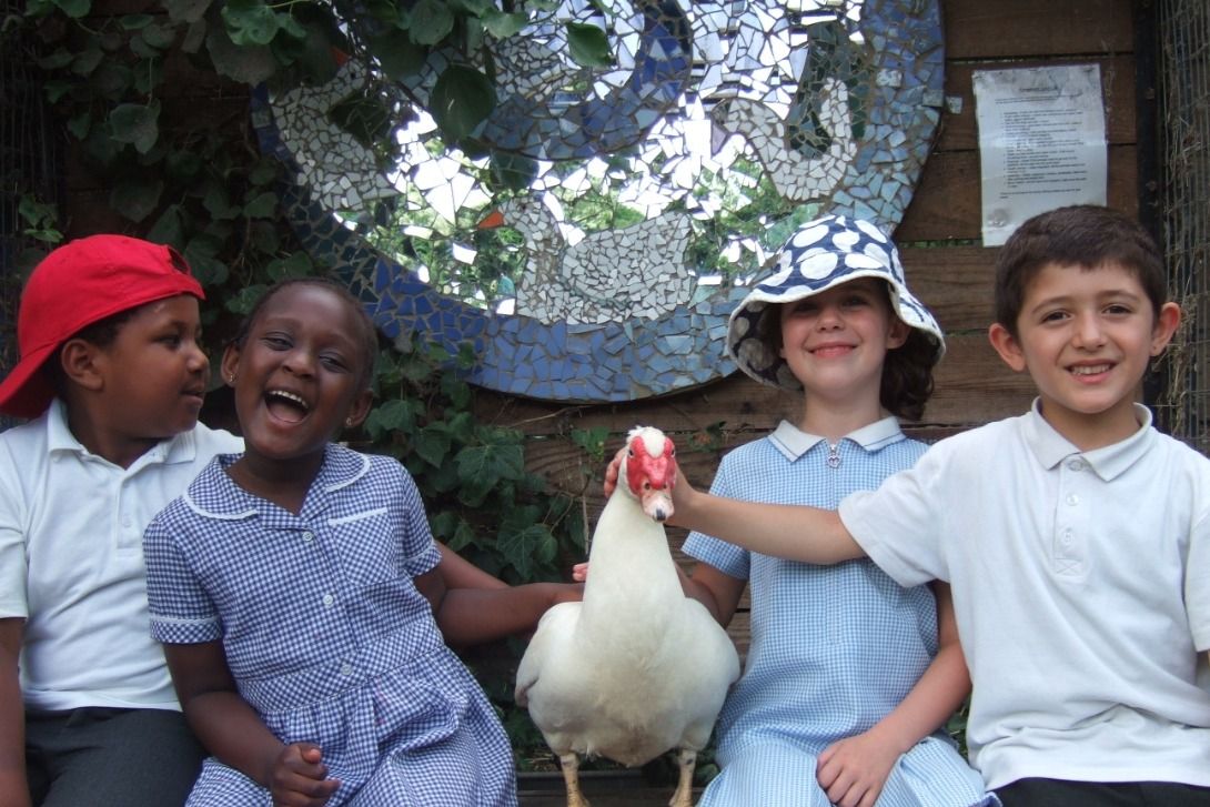 VauxhallFarm's tweet photo. In the wake of #COVID19, Vauxhall City Farm needs your help.
We want to be here for our community when the crisis ends – and it will.
Please take 3 minutes of your time to see our story and help #savevauxhallcityfarm
https://t.co/mDpyn2z9s7
#mondaymotivation #socialgood https://t.co/L4tpCAejhY